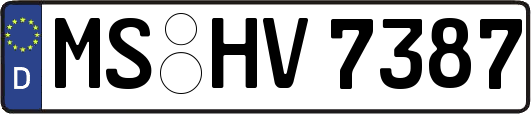 MS-HV7387