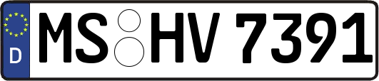 MS-HV7391