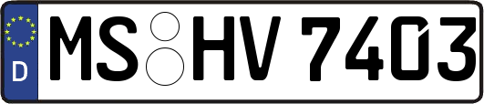 MS-HV7403