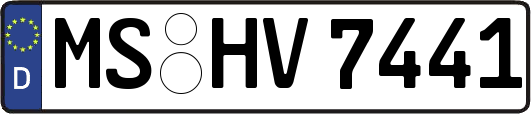 MS-HV7441