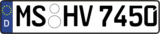 MS-HV7450