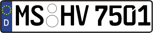 MS-HV7501