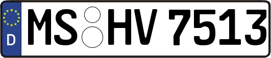 MS-HV7513
