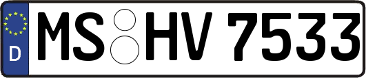 MS-HV7533