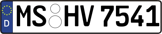 MS-HV7541