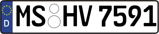 MS-HV7591
