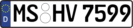 MS-HV7599