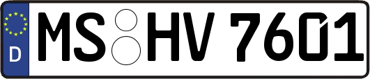 MS-HV7601
