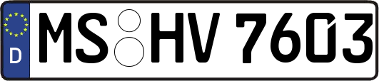 MS-HV7603