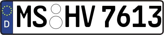 MS-HV7613