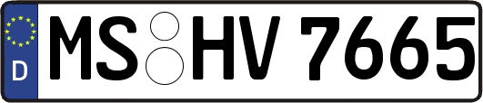 MS-HV7665