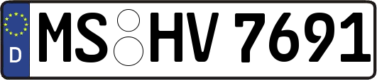 MS-HV7691