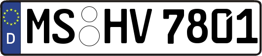 MS-HV7801