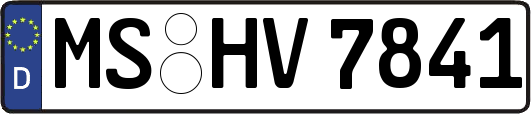 MS-HV7841