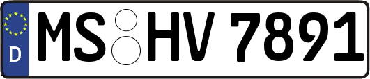 MS-HV7891