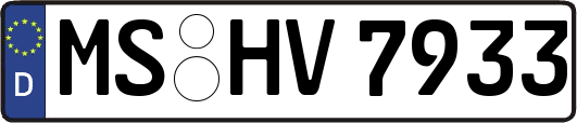 MS-HV7933
