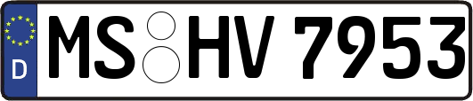 MS-HV7953