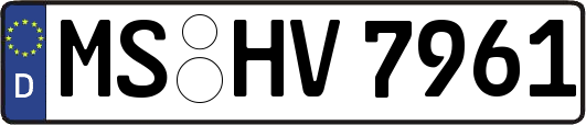 MS-HV7961