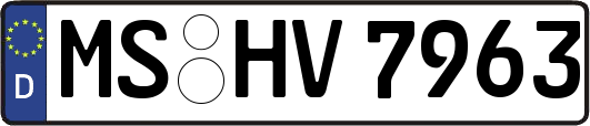 MS-HV7963