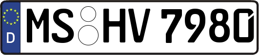 MS-HV7980