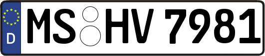 MS-HV7981