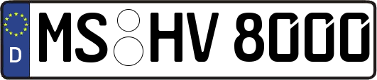 MS-HV8000