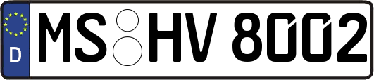 MS-HV8002
