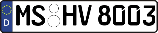 MS-HV8003