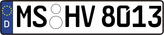 MS-HV8013