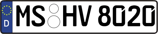MS-HV8020