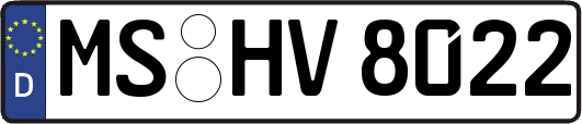 MS-HV8022