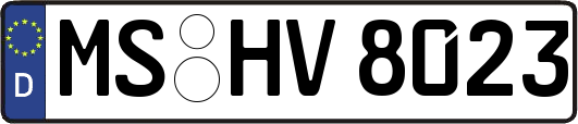 MS-HV8023