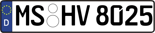 MS-HV8025