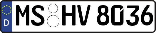 MS-HV8036