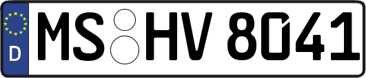 MS-HV8041