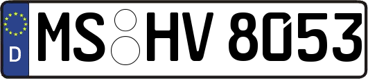 MS-HV8053