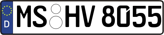 MS-HV8055