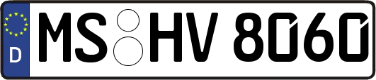 MS-HV8060