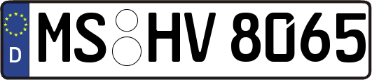 MS-HV8065