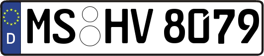 MS-HV8079