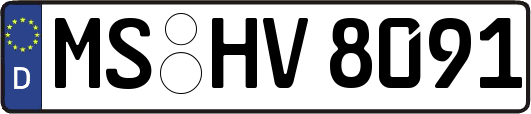 MS-HV8091