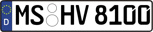 MS-HV8100