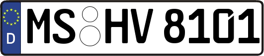 MS-HV8101