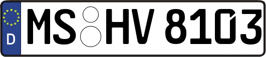 MS-HV8103