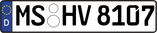 MS-HV8107