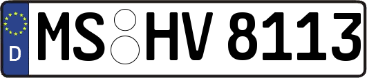 MS-HV8113