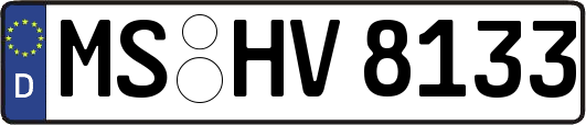 MS-HV8133