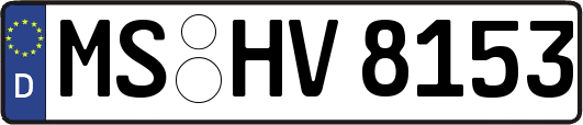 MS-HV8153