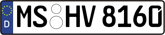 MS-HV8160