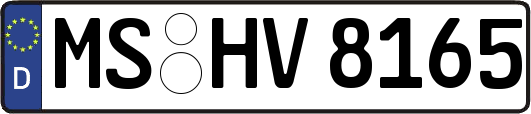 MS-HV8165
